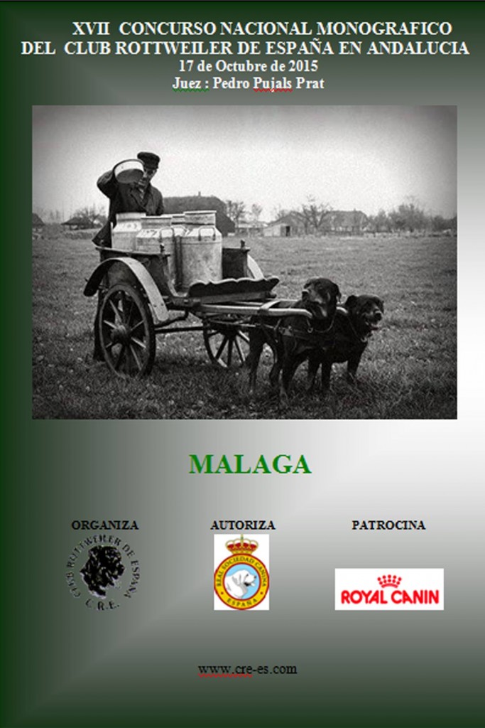XVII Concurso Monográfico Andalucía