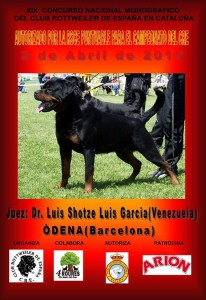XIX Concurso Nacional Monográfico del Club Rottweiler de España en Cataluña